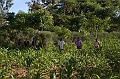 20100211-IMG_5763