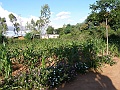20100211-P2110044