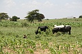 20100215-IMG_6455
