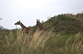 20100218-IMG_7237