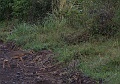 20100218-IMG_7284