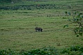 20100218-IMG_7356