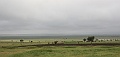 20100219-IMG_7408