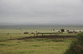 20100219-IMG_7410