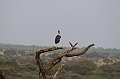 20100219-IMG_7964