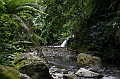20100220-IMG_8312