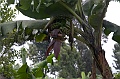 20100220-IMG_8333